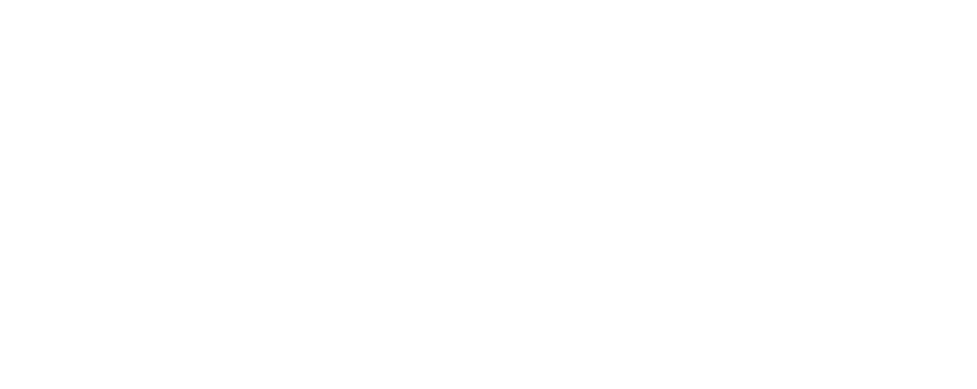 The Painting Plastering Specialist