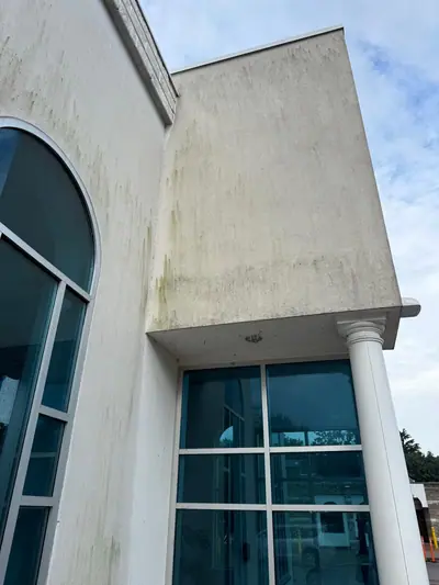 London Muslim Mosque exterior painting — photo 2 of 15