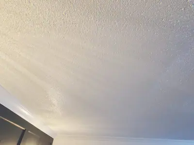Interior ceiling repair and textured finish — photo 5 of 5