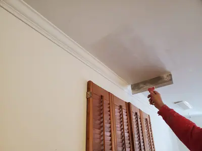 Interior ceiling drywall repair and skim — photo 2 of 3