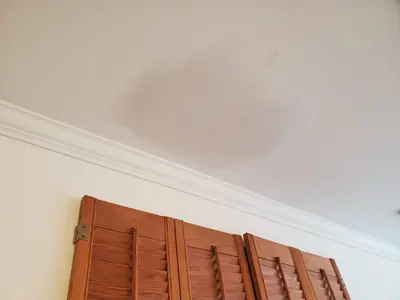 Interior ceiling drywall repair and skim — photo 3 of 3
