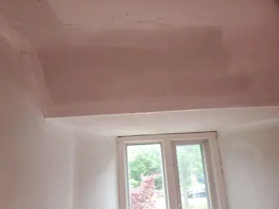 Interior plaster and lath restoration — photo 3 of 9
