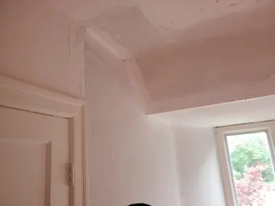 Interior plaster and lath restoration — photo 6 of 9