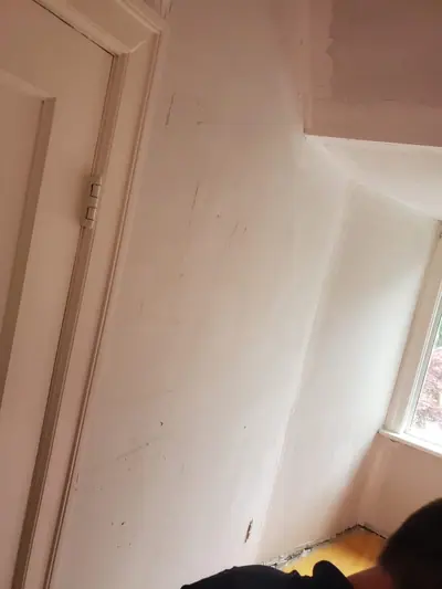 Interior plaster and lath restoration — photo 7 of 9