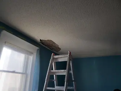 Ceiling plaster removal and drywall finishing — photo 1 of 9